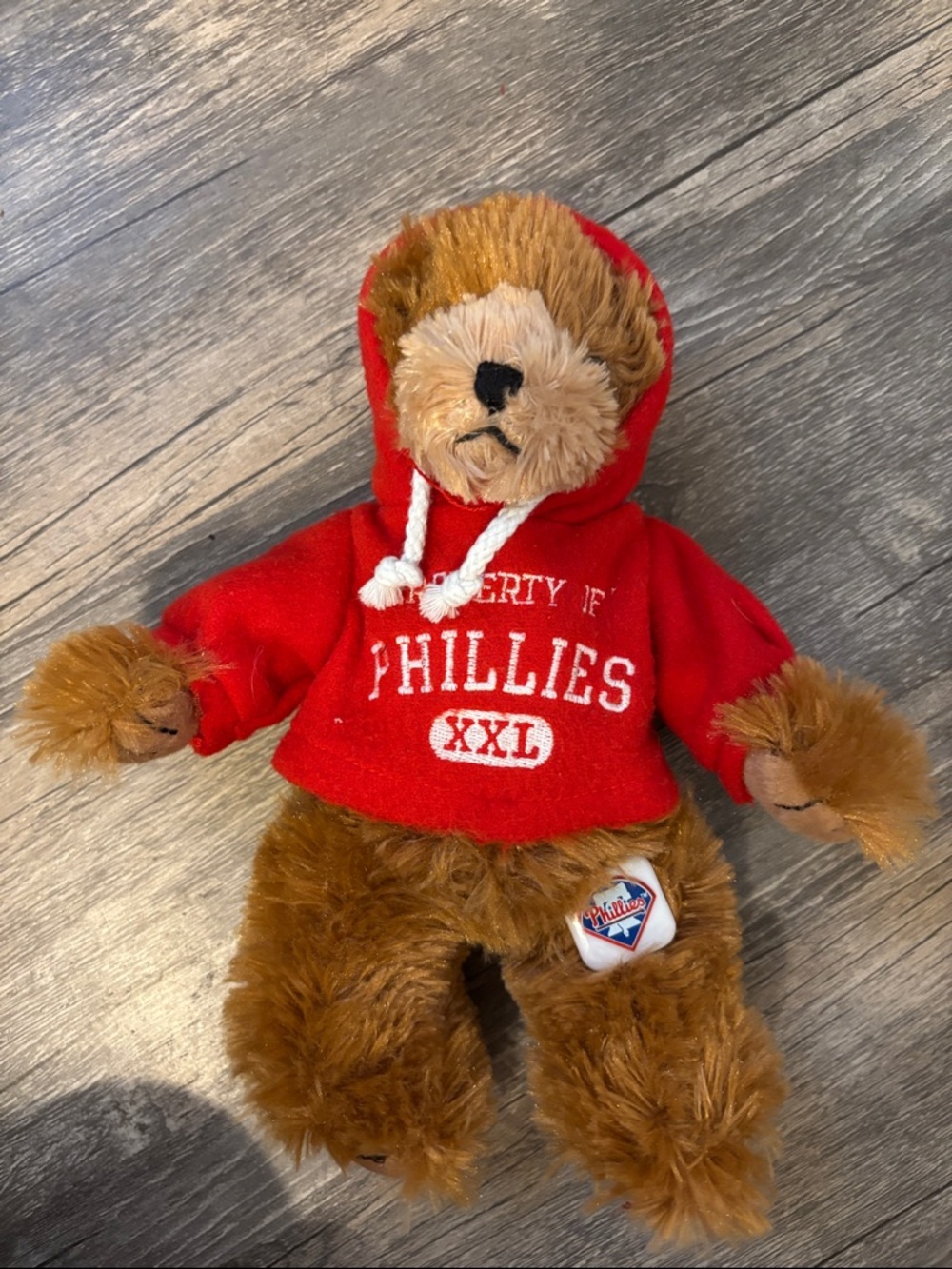Plush Team Bear in Red Hoodie - Collectible Sports Plush